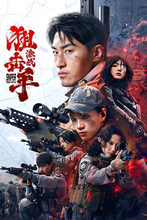 Póster de 狙击手：激战
