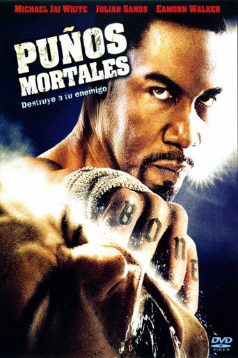 Póster de Puños mortales