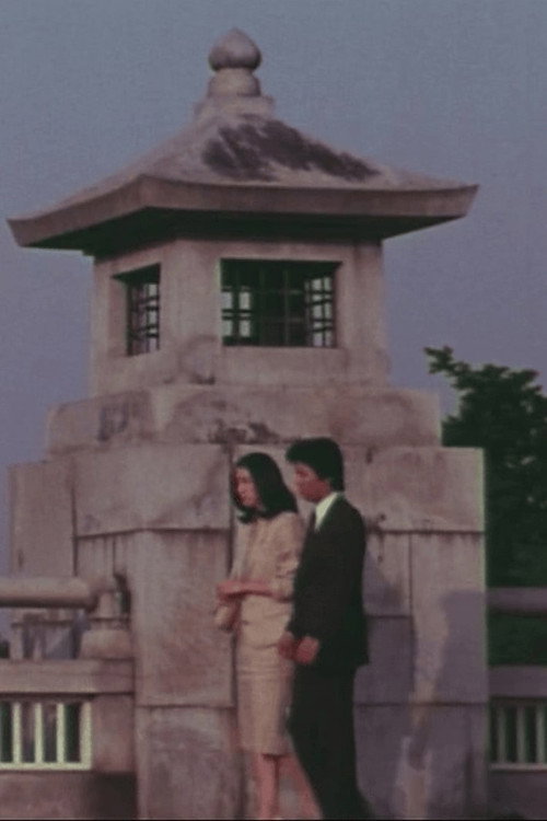 Póster de 外科病棟の女医