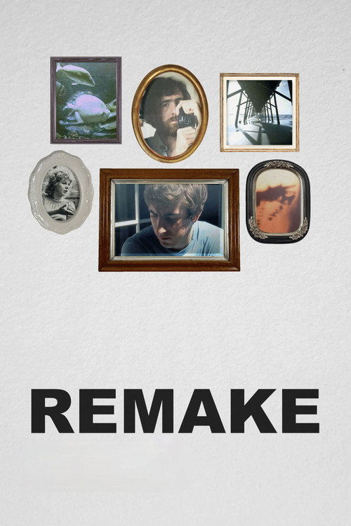 Póster de Remake