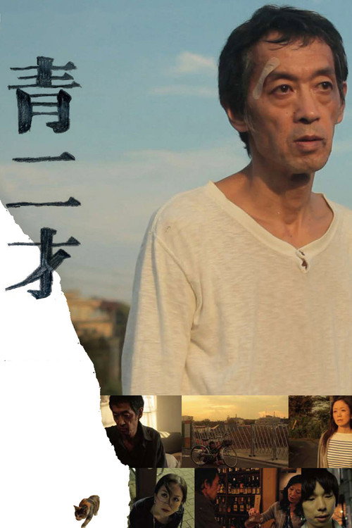 Póster de 青二才