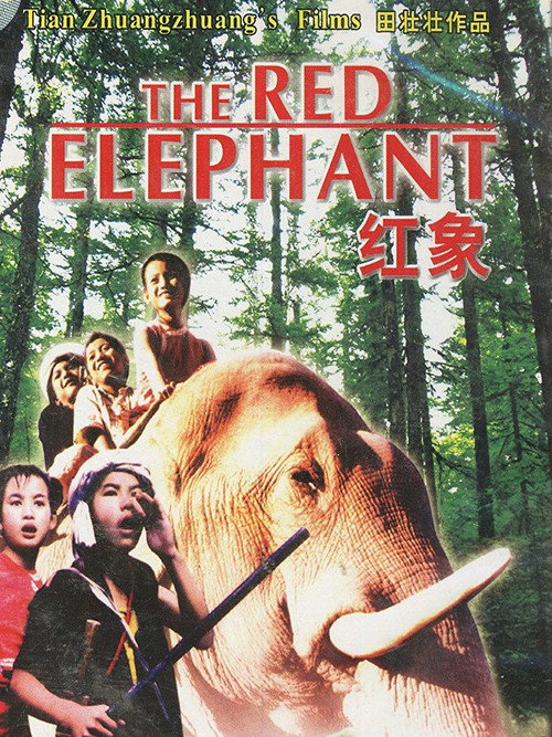 Póster de 红象