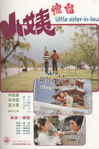 Póster de 小姨懷春
