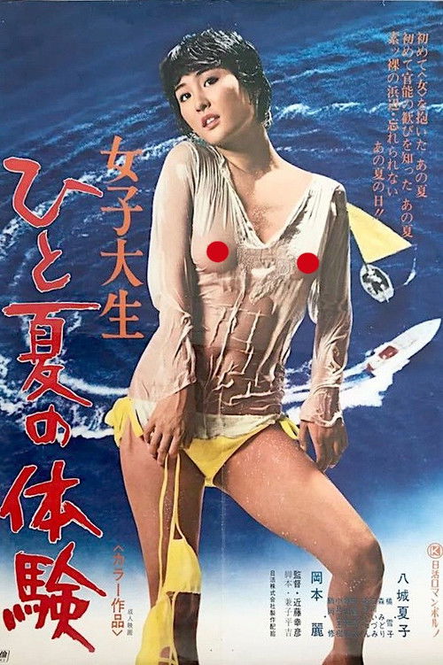 Póster de 女子大生　ひと夏の体験
