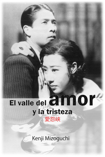 Póster de 愛怨峡