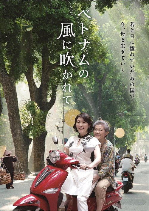Póster de ベトナムの風に吹かれて
