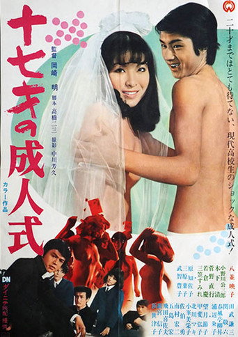 Póster de 十七才の成人式