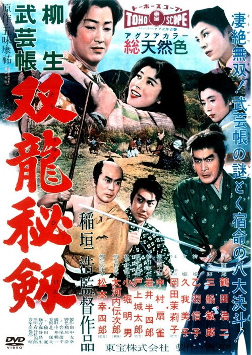 Póster de 柳生武芸帳　双龍秘剣