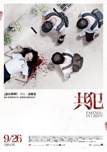 Póster de Partners in Crime
