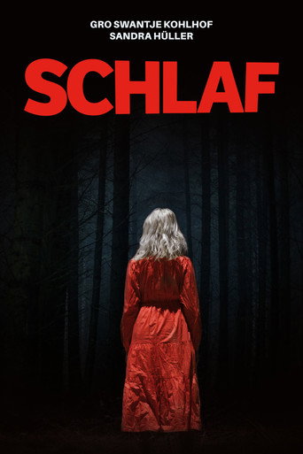 Póster de Schlaf