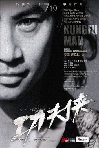 Póster de 功夫侠