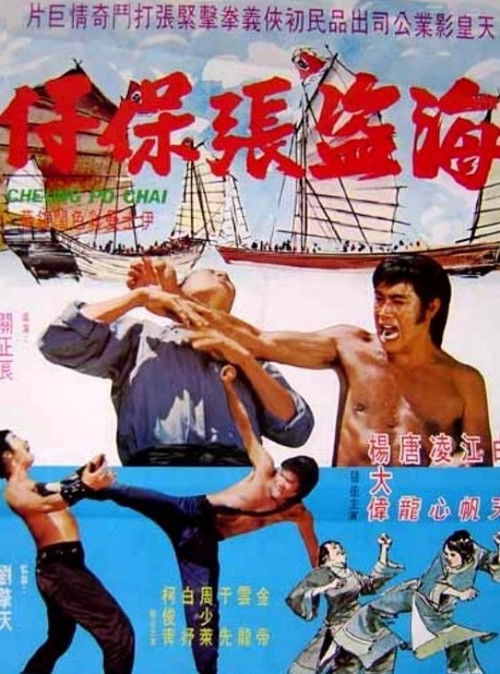 Póster de 海盜張保仔