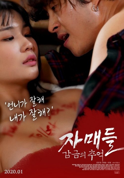 Póster de 자매들: 감금의 추억