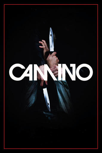 Póster de Camino