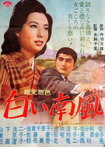 Póster de 白い南風