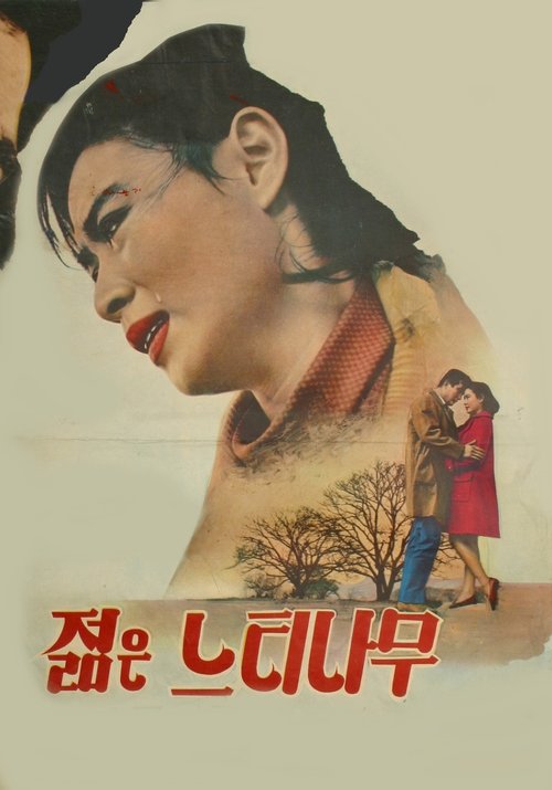 Póster de 젊은 느티나무