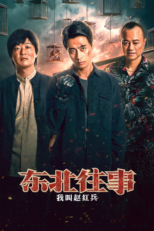 Póster de 东北往事之我叫赵红兵