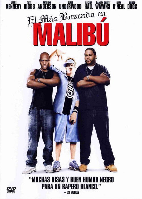 Póster de Malibu's Most Wanted