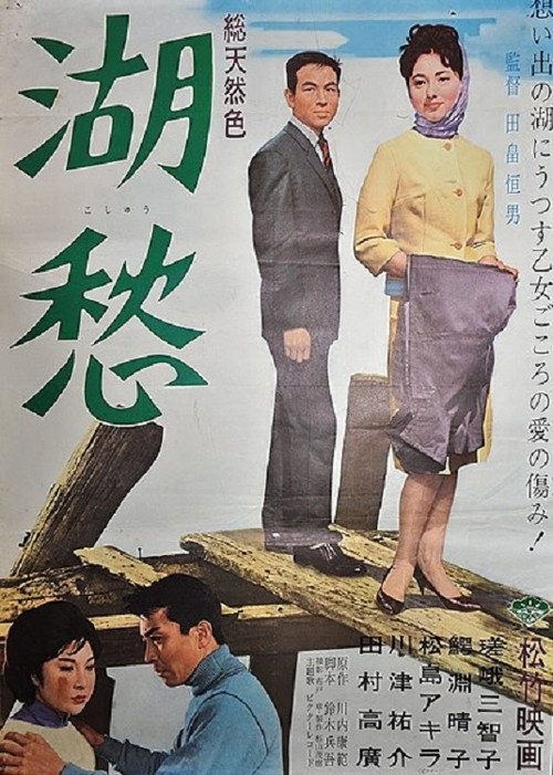 Póster de 湖愁
