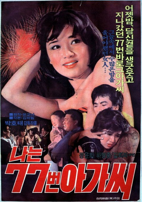 Póster de 나는 77번 아가씨