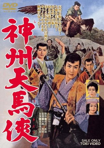 Póster de 神州天馬侠