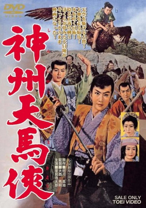 Póster de 神州天馬侠