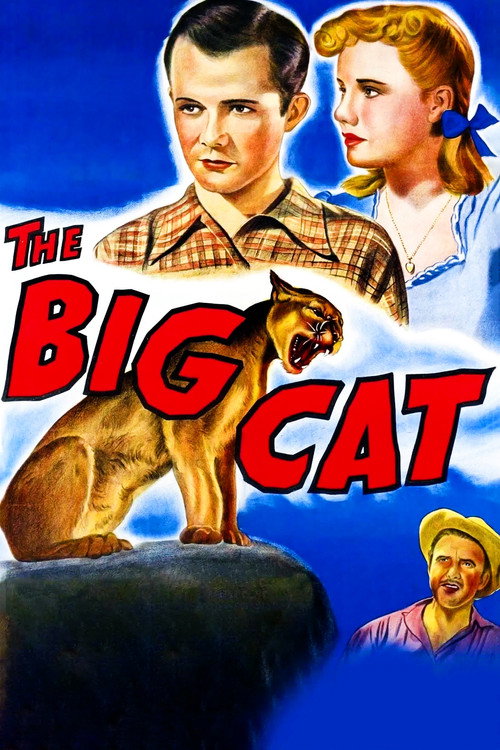 Póster de The Big Cat