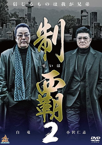 Póster de 制覇2