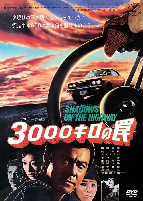 Póster de 3000キロの罠