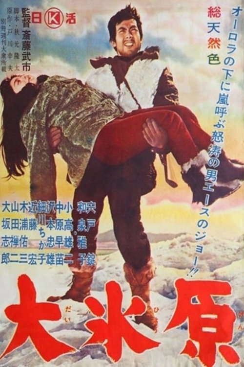 Póster de 大氷原