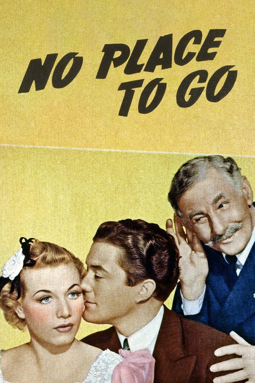 Póster de No Place to Go