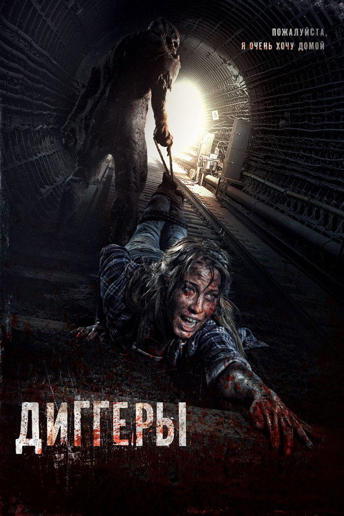 Póster de Диггеры