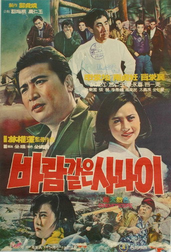 Póster de 바람같은 사나이