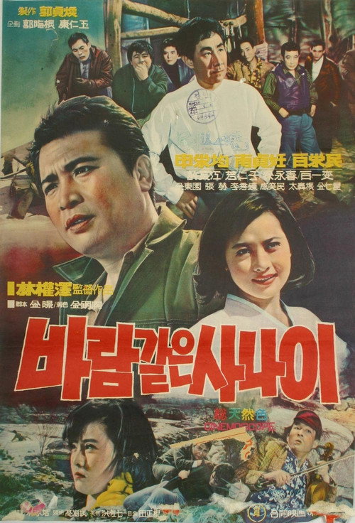 Póster de 바람같은 사나이