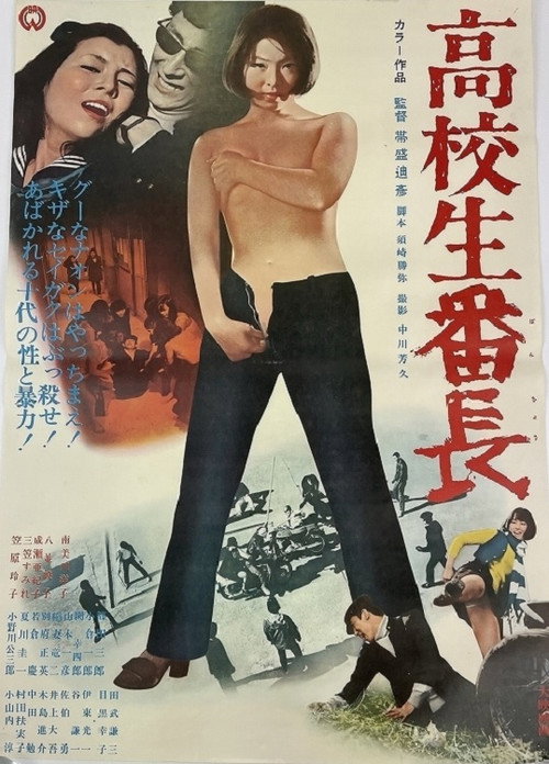 Póster de 高校生番長