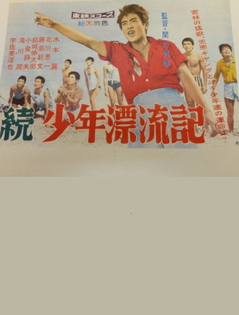 Póster de 続少年漂流記