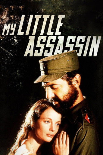 Póster de My Little Assassin