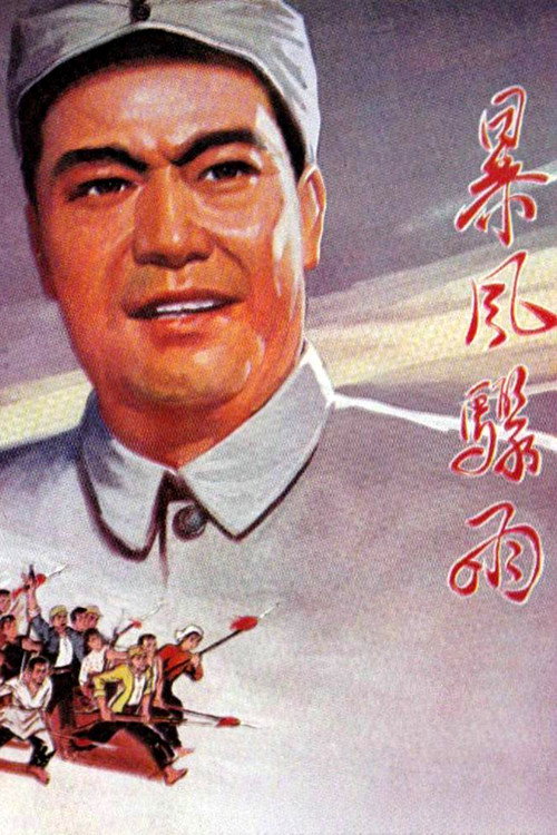 Póster de 暴风骤雨
