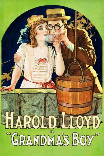 Póster de Grandma's Boy