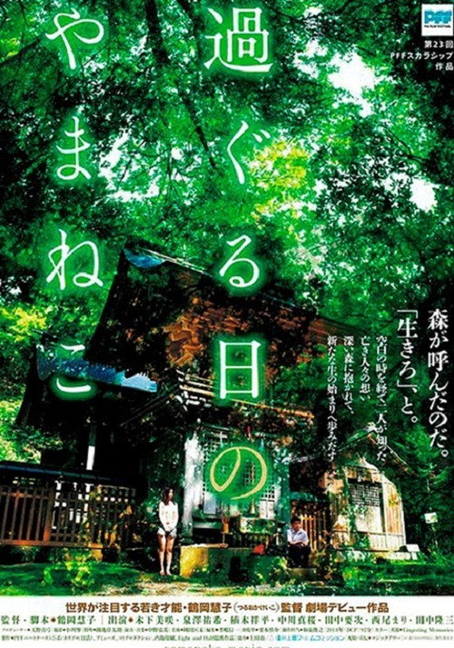 Póster de 過ぐる日のやまねこ