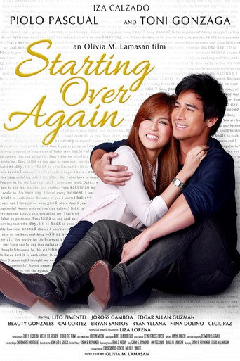 Póster de Starting Over Again
