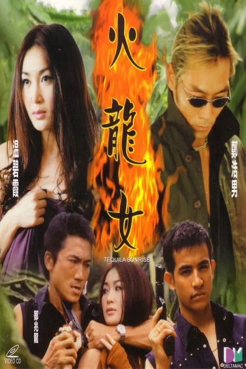 Póster de 火龍女
