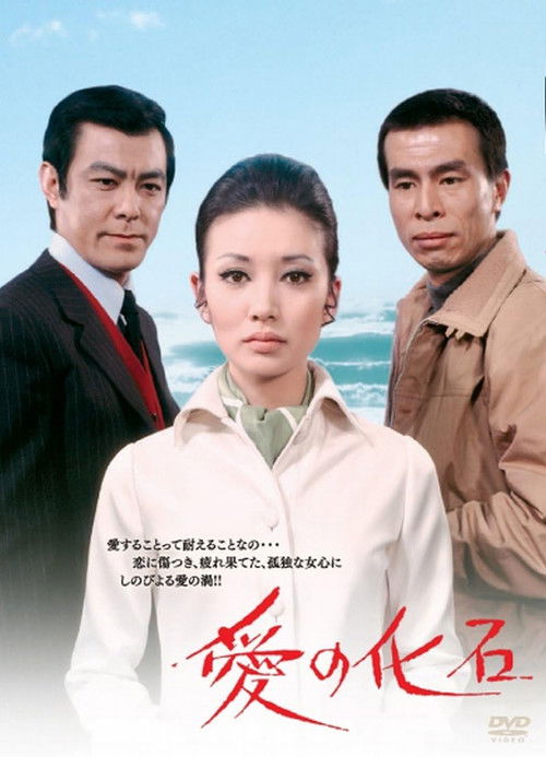 Póster de 愛の化石