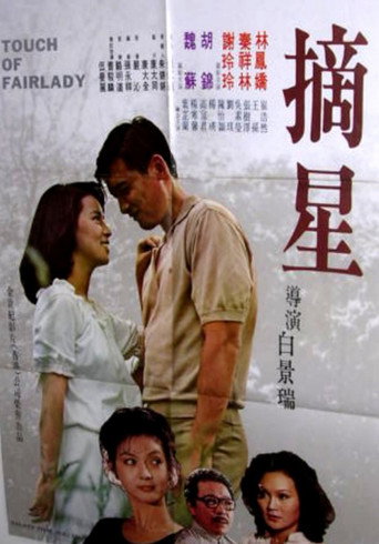 Póster de 摘星