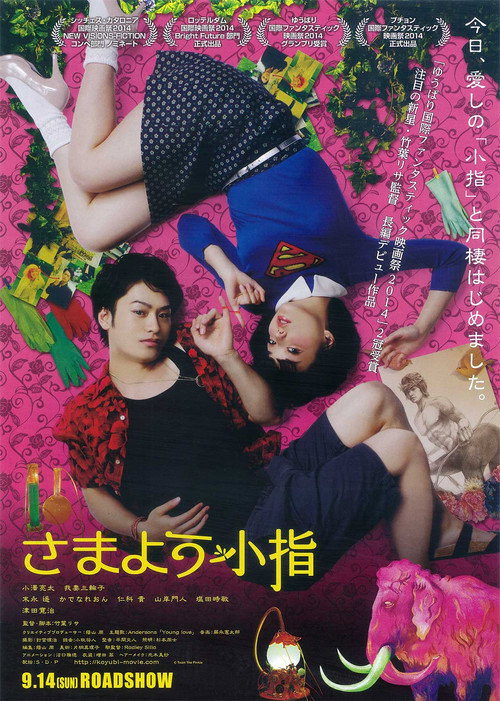 Póster de さまよう小指