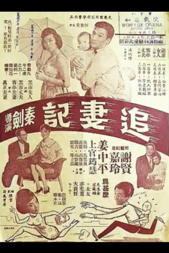 Póster de 追妻記