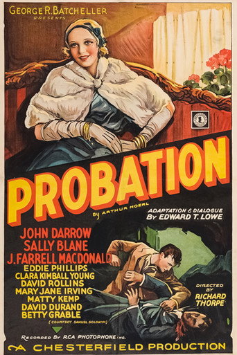 Póster de Probation