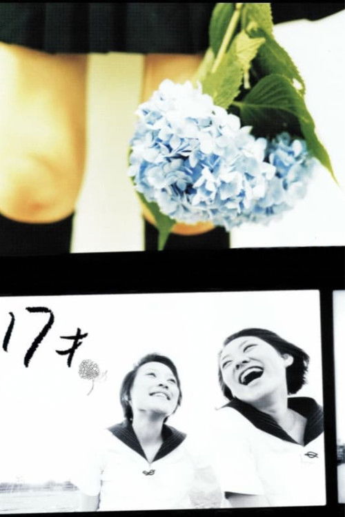 Póster de 17才