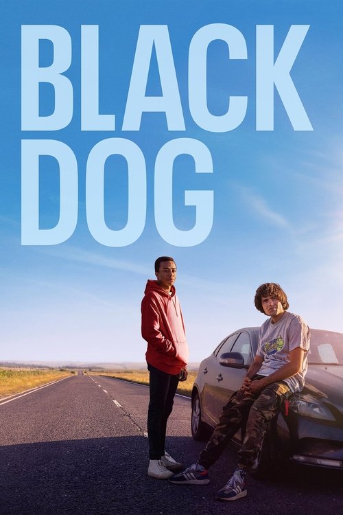 Póster de Black Dog