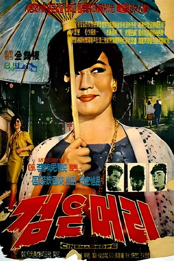 Póster de 검은 머리